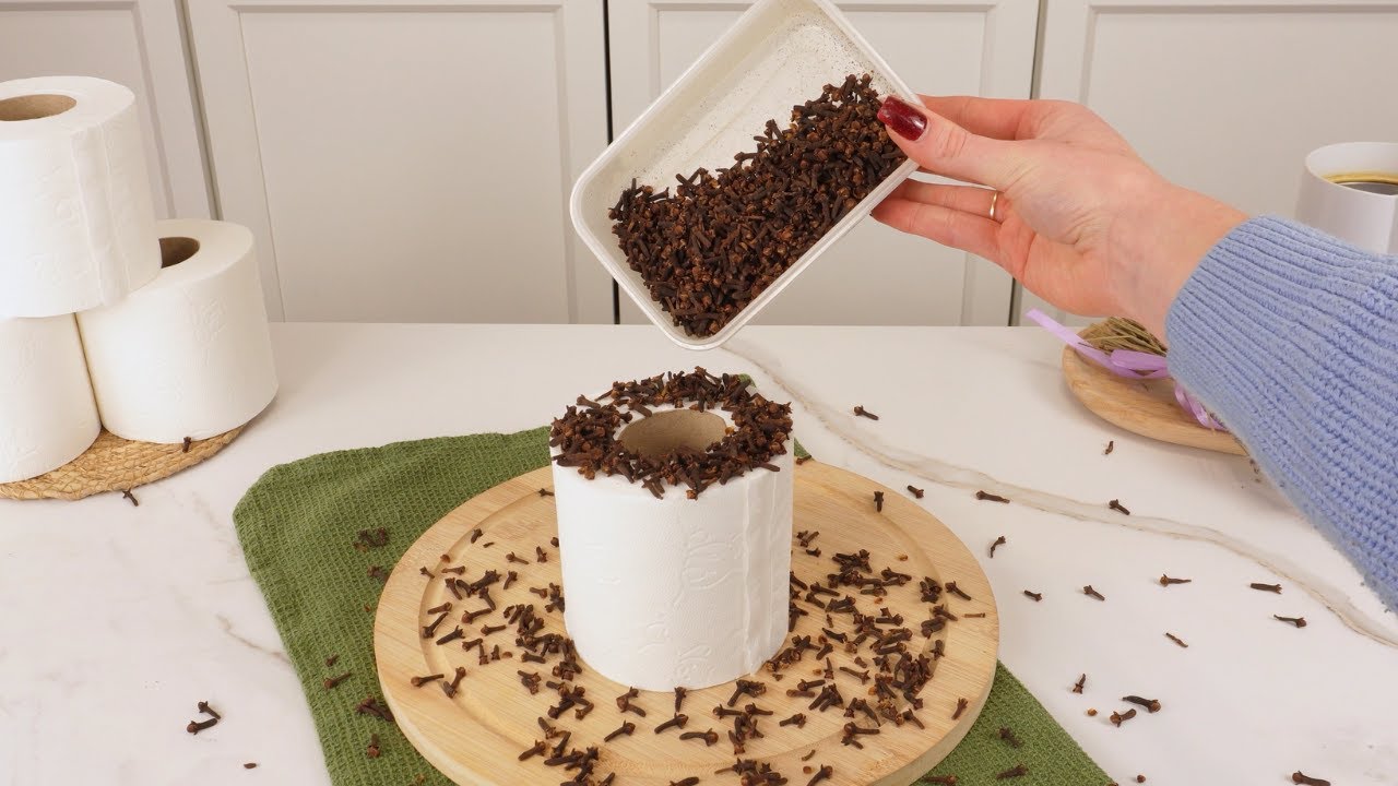 Put CLOVES on a Toilet Paper Roll! 😲 This Natural Trick Works Wonders