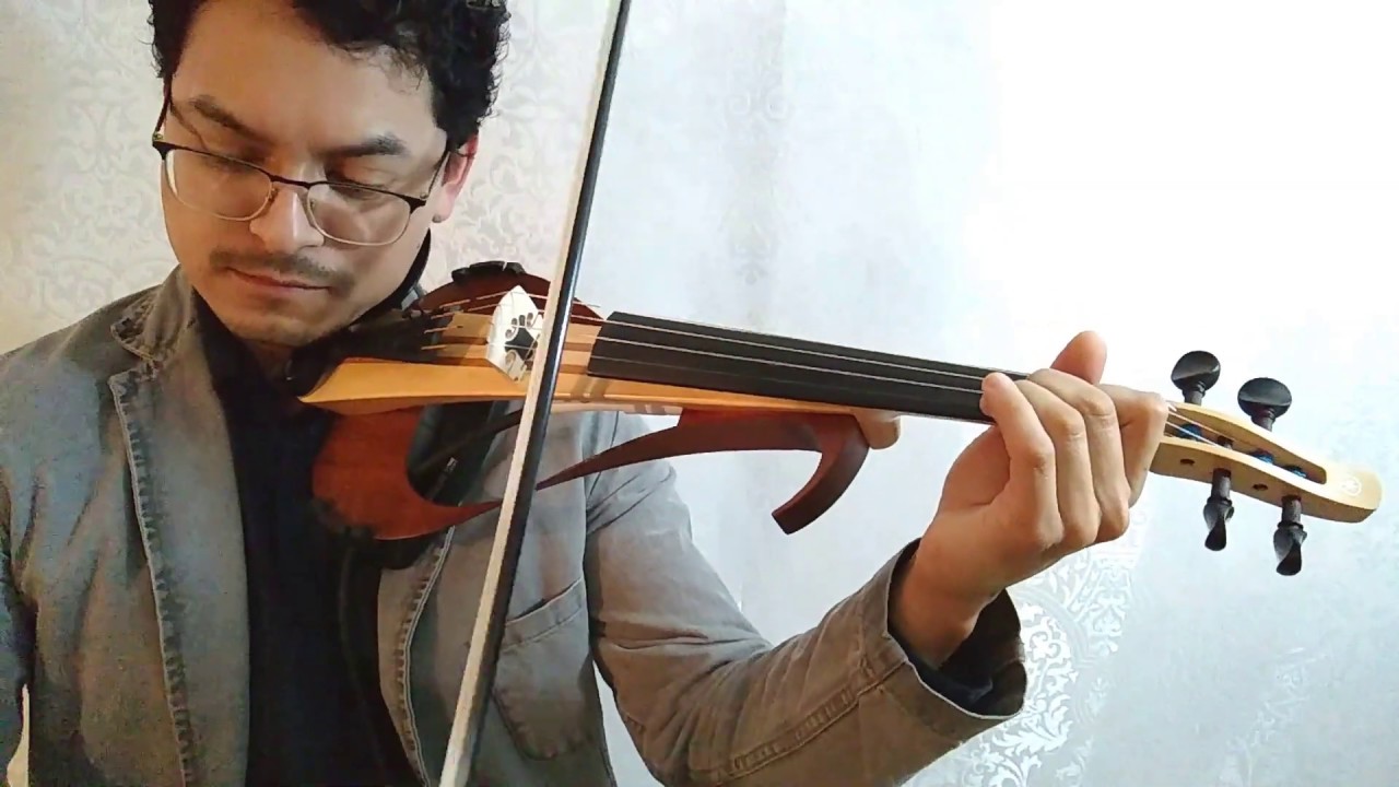 The Wizard's Walk - Jay Ungar   (Violín Eléctrico)