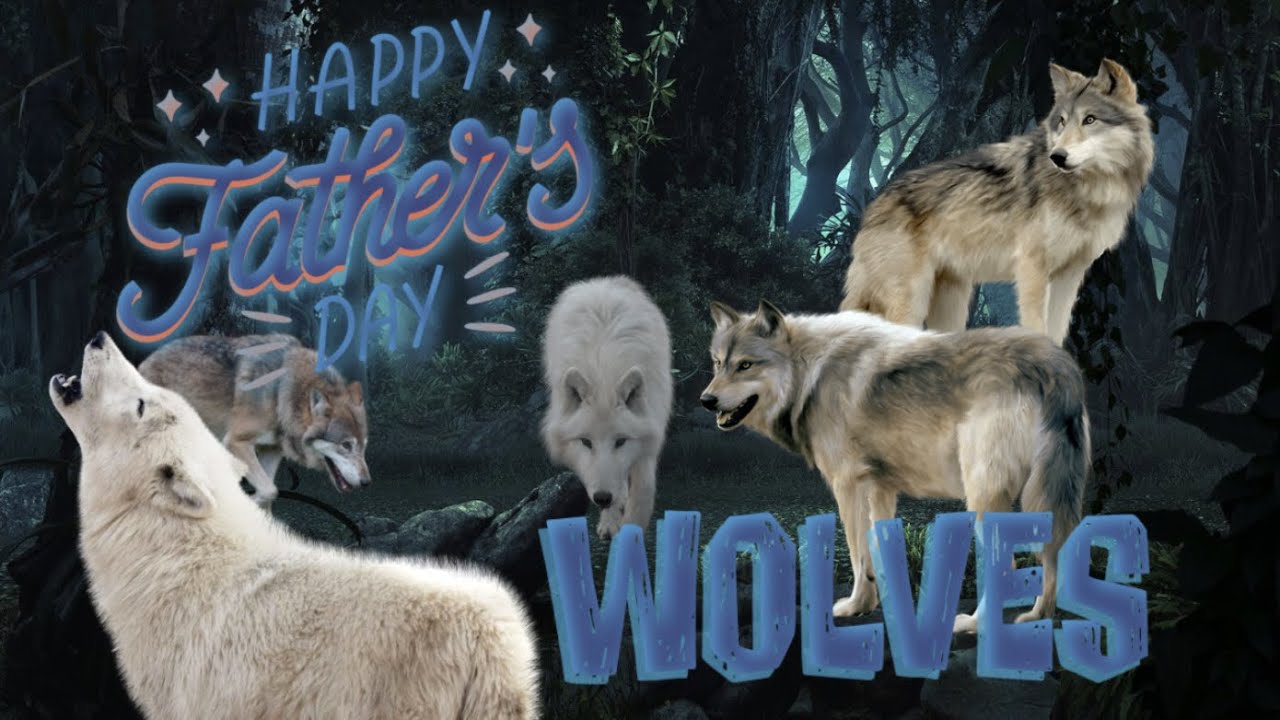 Don't You Worry Wolves Father's Day