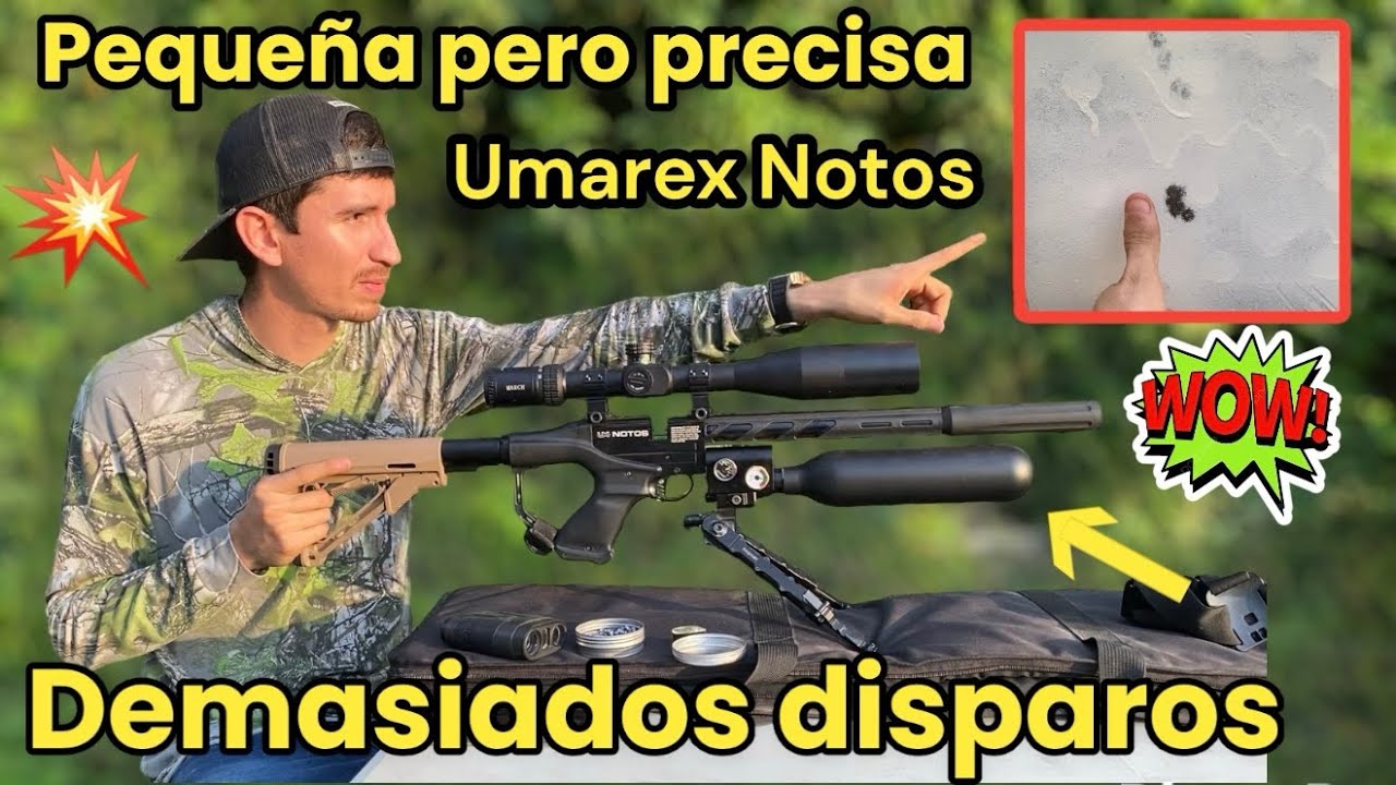 UNA PEQUEÑA BESTIA ‼️Umarex Notos 5.5 con aire infinito 💥 Conócela