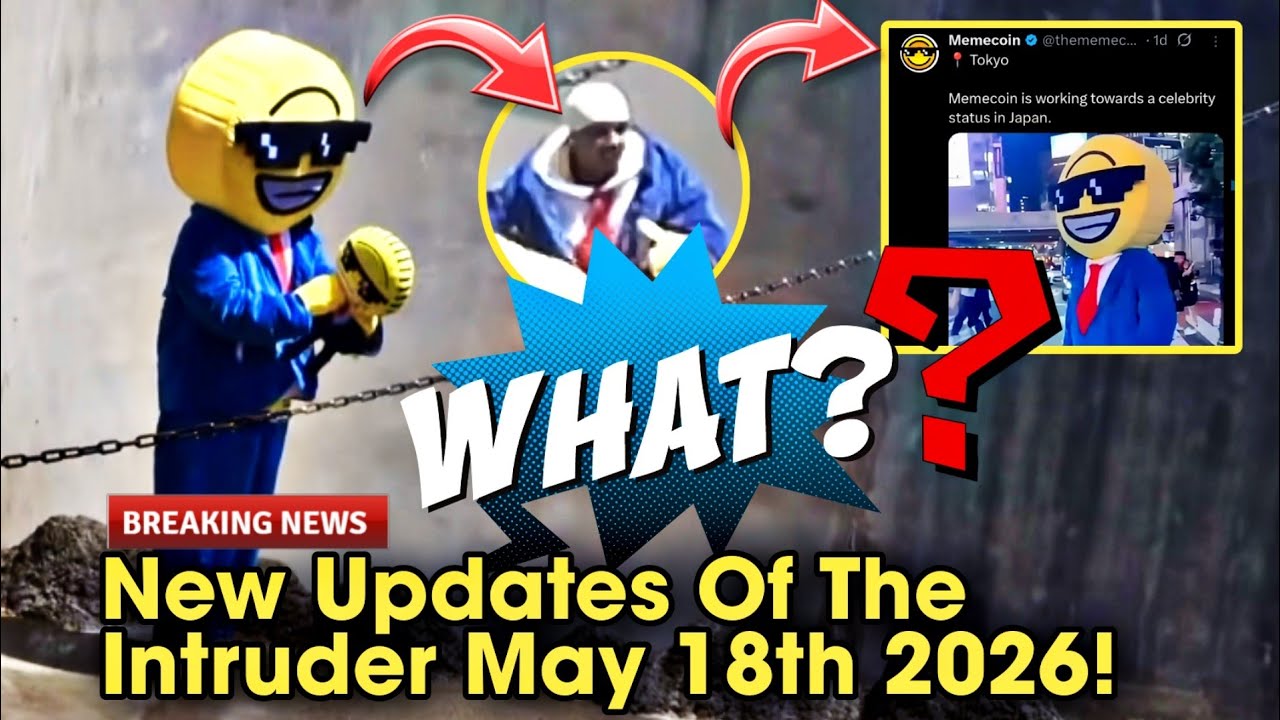 Breaking News! Ichikawa Zoo Release New Updates Of The Monkey Mountain Intruder Incident