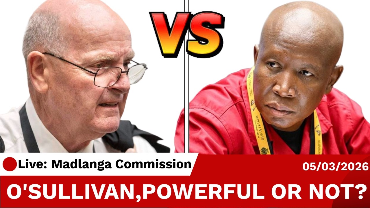 O'Sullivan Returns, Parliament's NOT Done With Him! - Criminal Case LIVE!
