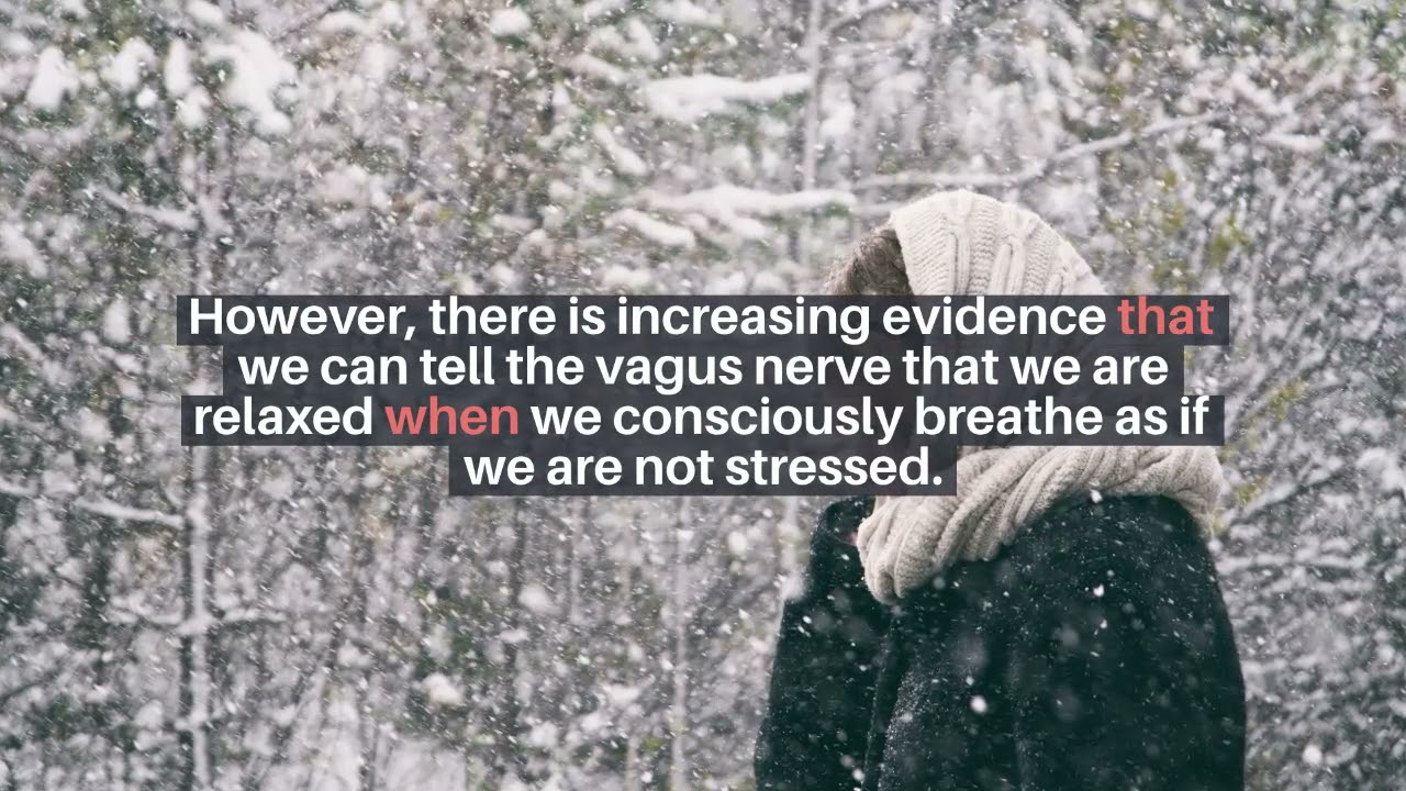 The term vagal tone refers to the activity of the vagus