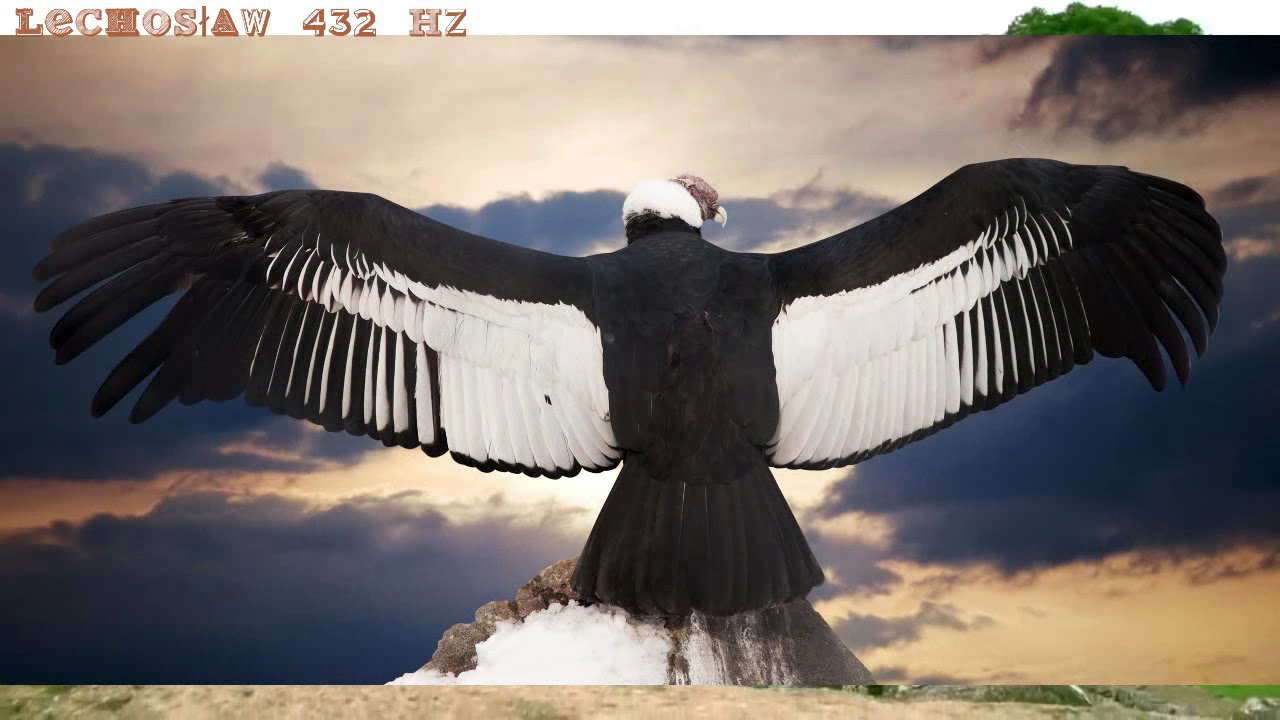 El Condor Pasa - Paul Simon & Garfunkel | 432 Hz