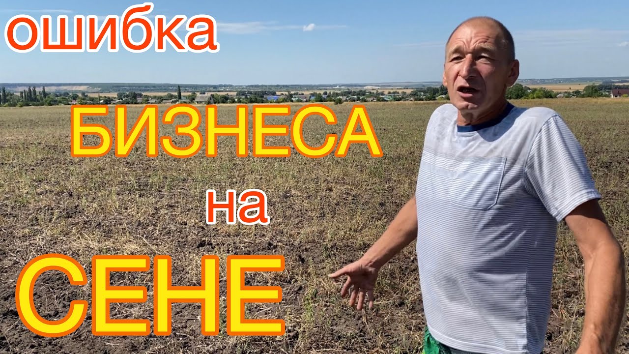 Как не ПОПАСТЬ на ДЕНЬГИ | ошибки БИЗНЕСА на СЕНЕ