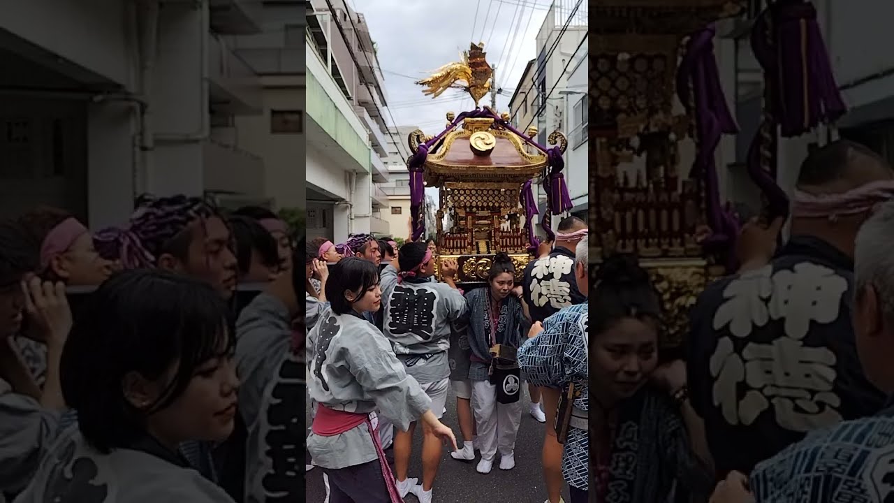 素盞雄神社天王祭2025！東三ノ輪町会  #素盞雄神社 #天王祭 #東三ノ輪町会