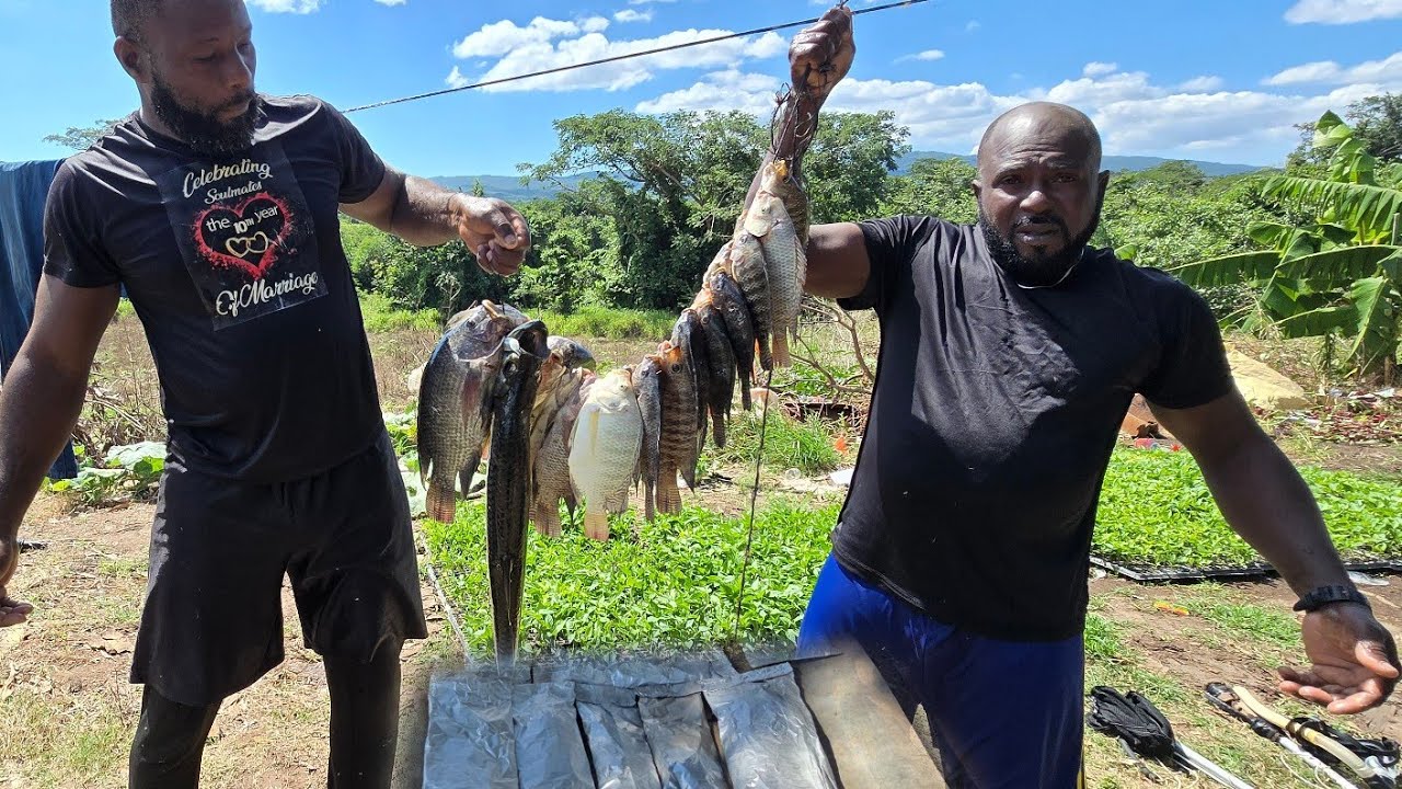 Catch clean and roast on the farm