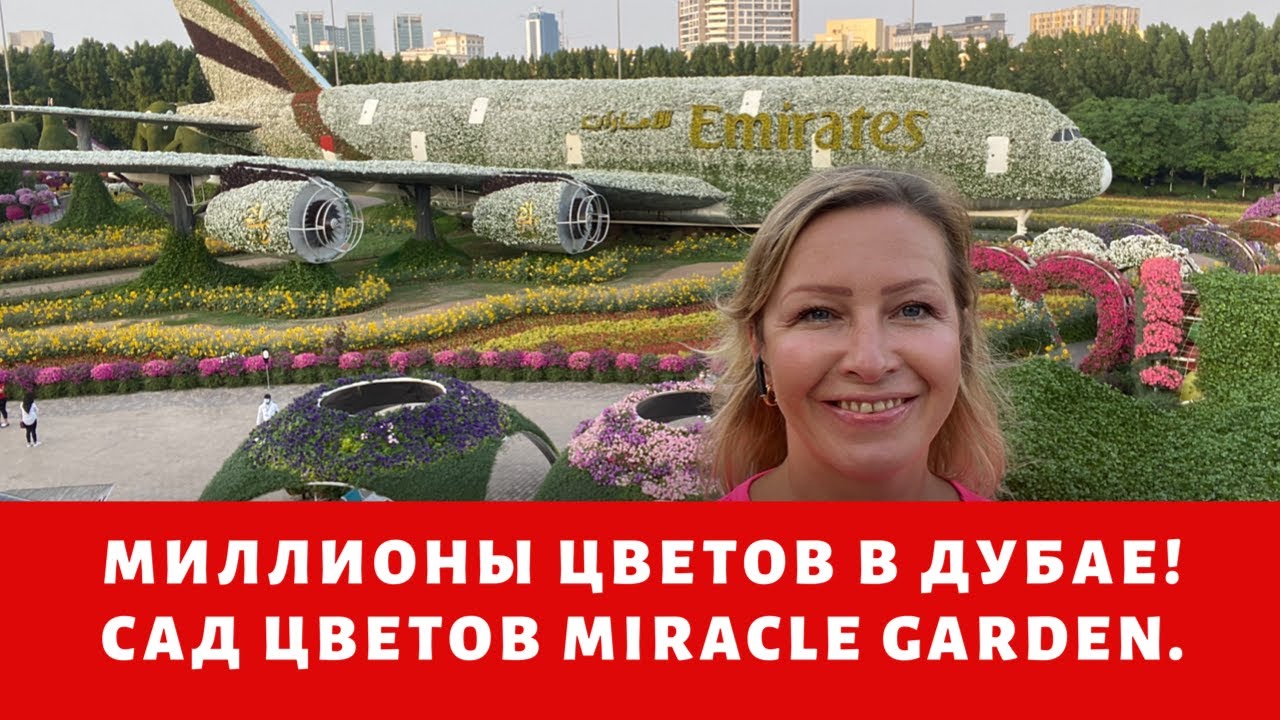 Дубай 2020. Сад цветов в Дубае (Miracle Garden Dubai) стал еще лучше. Уникальные фигуры из цветов.