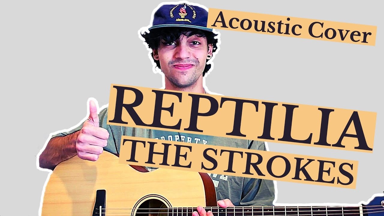 Reptilia- The Strokes (Acoustic Cover)