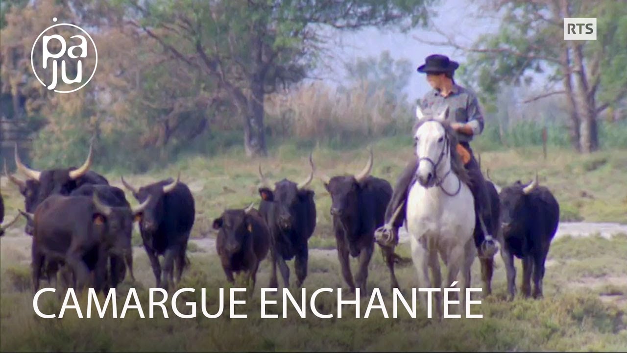 Pionnier de l'écologie, Luc a créé une réserve naturelle en Camargue