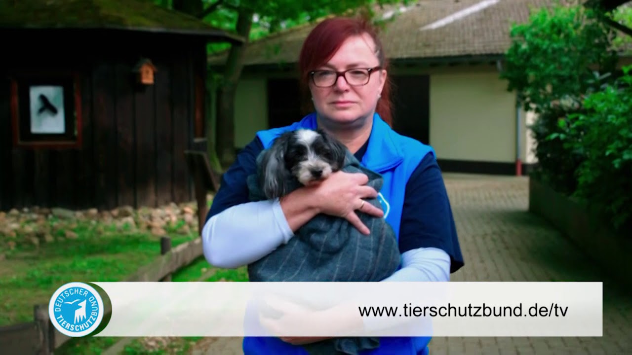 Helfen Sie dem Deutschen Tierschutzbund mit einer Spende