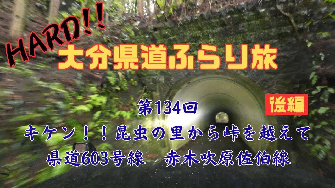 第134回キケン！昆虫の里から峠を越えて（県道603号線赤木吹原佐伯線）後編