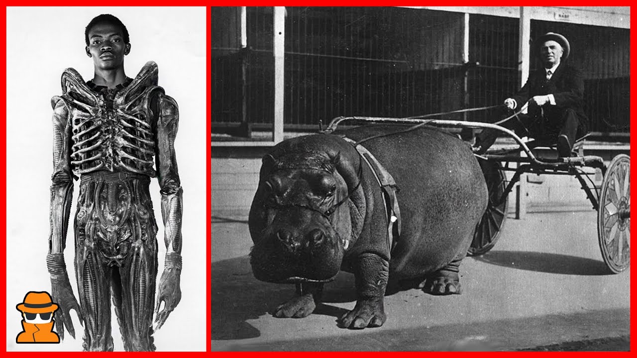 50 Fotografias HISTORICAS Que Tienes Que Ver #2