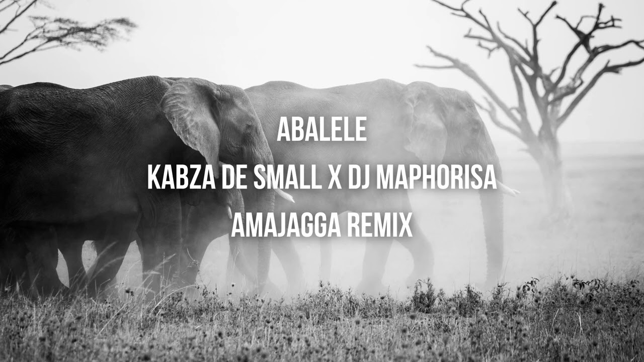 Abalele - Kabza De Small x DJ Maphorisa Afrohouse Remix (Amajagga rework)