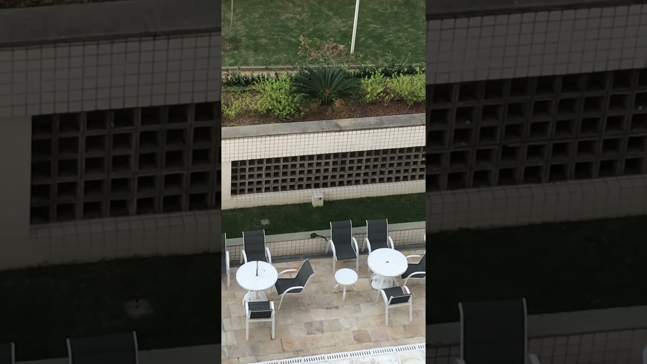 🐒 When monkeys invade your @airbnb swimming pool 🏊 #monkeys #tricks #rio