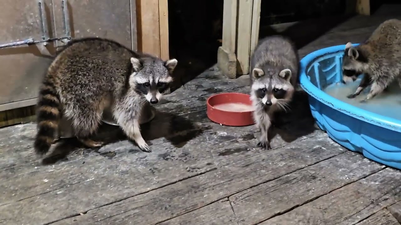 Happy Friday! March 6th my sweet visitors ❤️