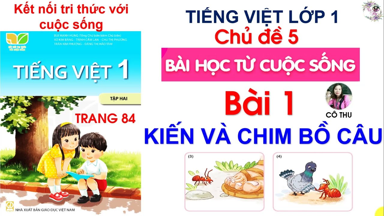 Tiếng Việt lớp 1 Kết nối tri thức| Bài 1 Kiến và chim bồ câu| Chủ đề 4 Điều em cần biết| Trang 84
