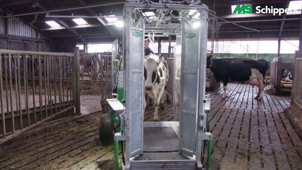 MS HyDro 750, cage de parage hydraulique (Français)