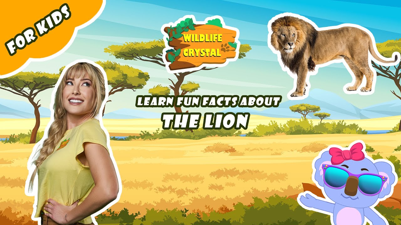Lion Facts