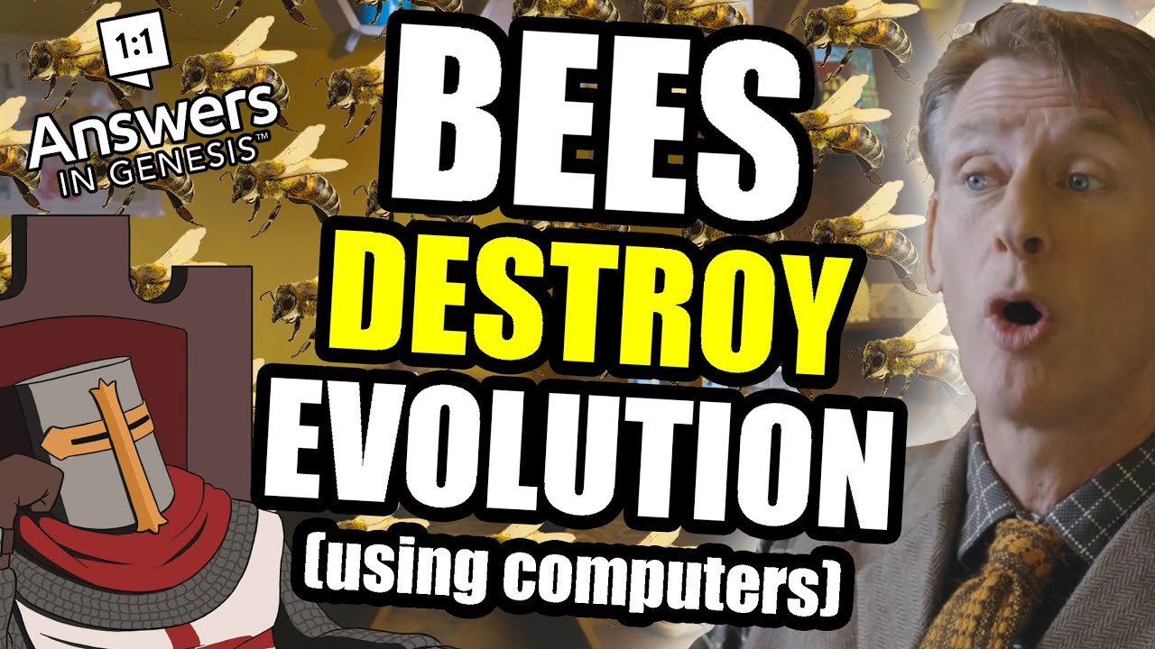 Creationist DUMBASS Thinks Bees DESTROY Evolution (Answers In Genesis)