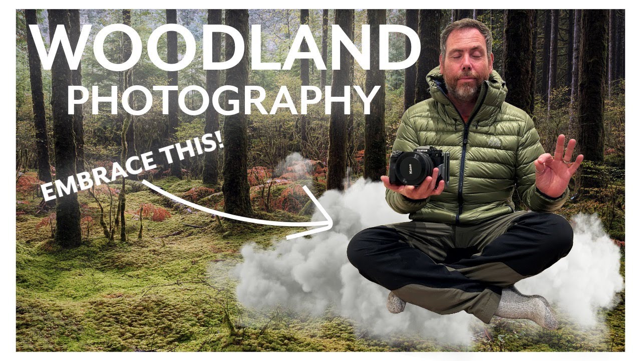 Discover The Perfect Woodland Photography Composition With These Tips!