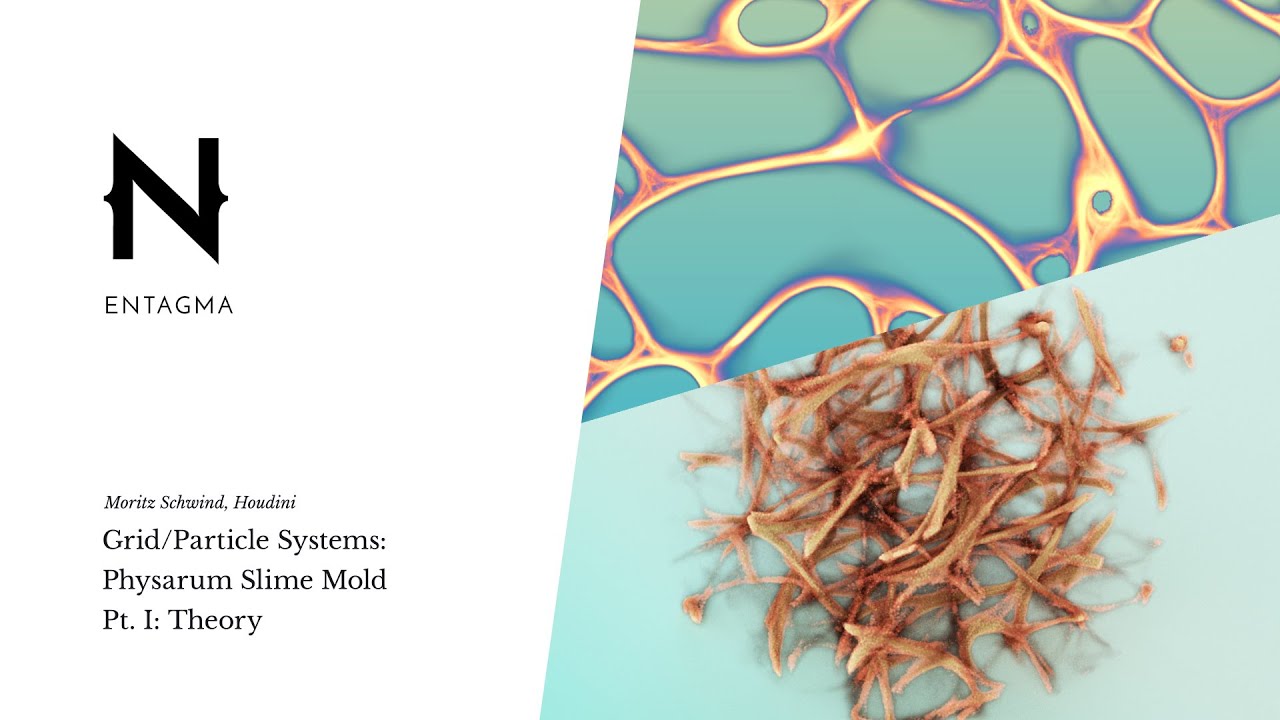 Grid Particle Systems - Physarum Slime Mold Pt I: Theory