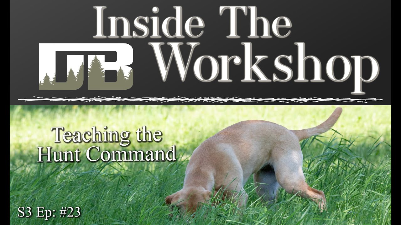 Teaching Dog Hunt Command: Developing a Dog's Nose | S3 Ep: #23