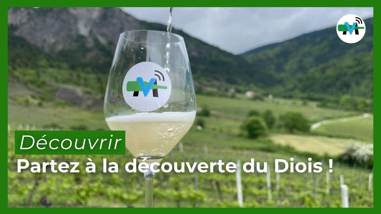 À la découverte du Diois : Tout savoir sur le vignoble du Diois et ses vins !