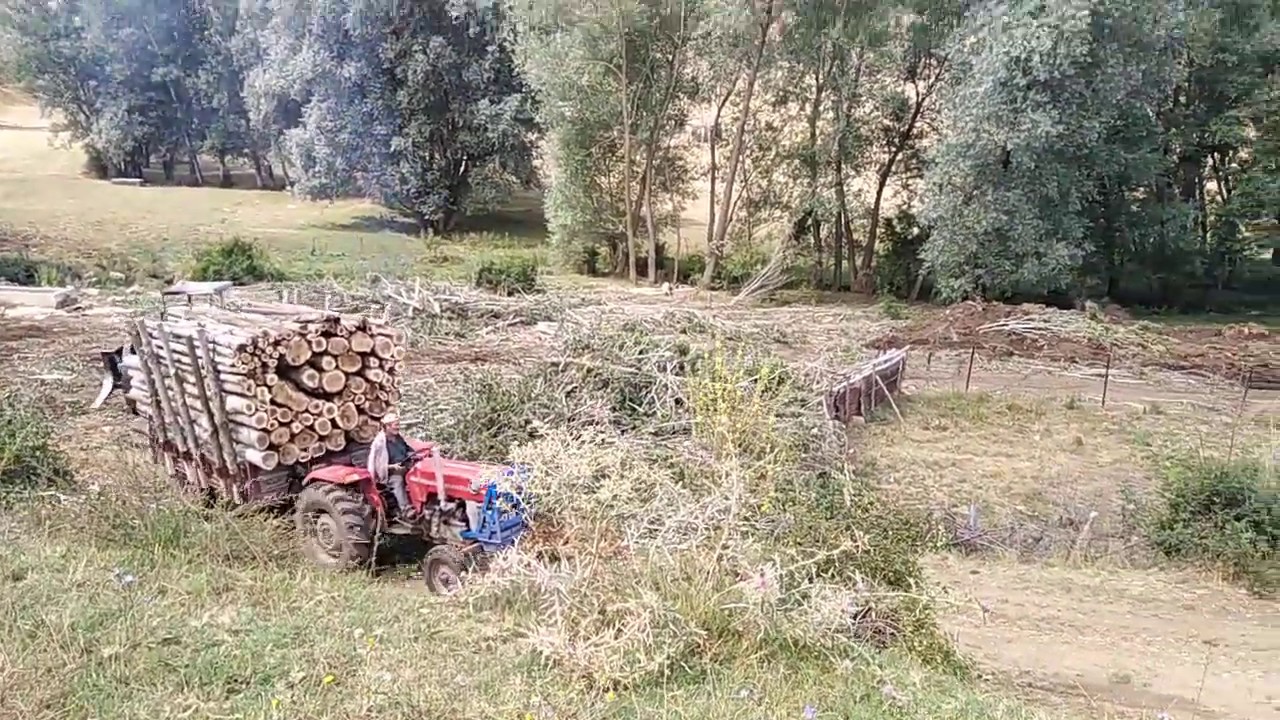 MASSEY FERGUSON 165  -212- YÜK AĞIR YOKUŞ DİK 🔊🎶 (9.400kg)