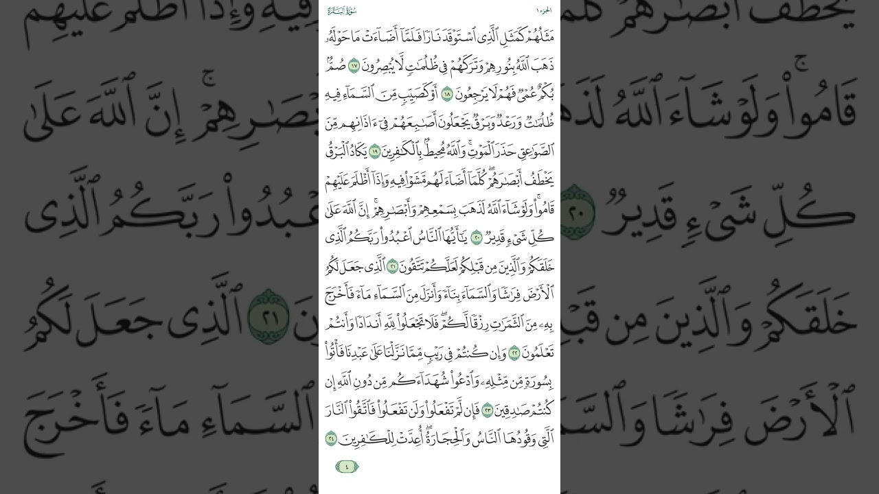 سورة البقرة صفحة رقم ٤