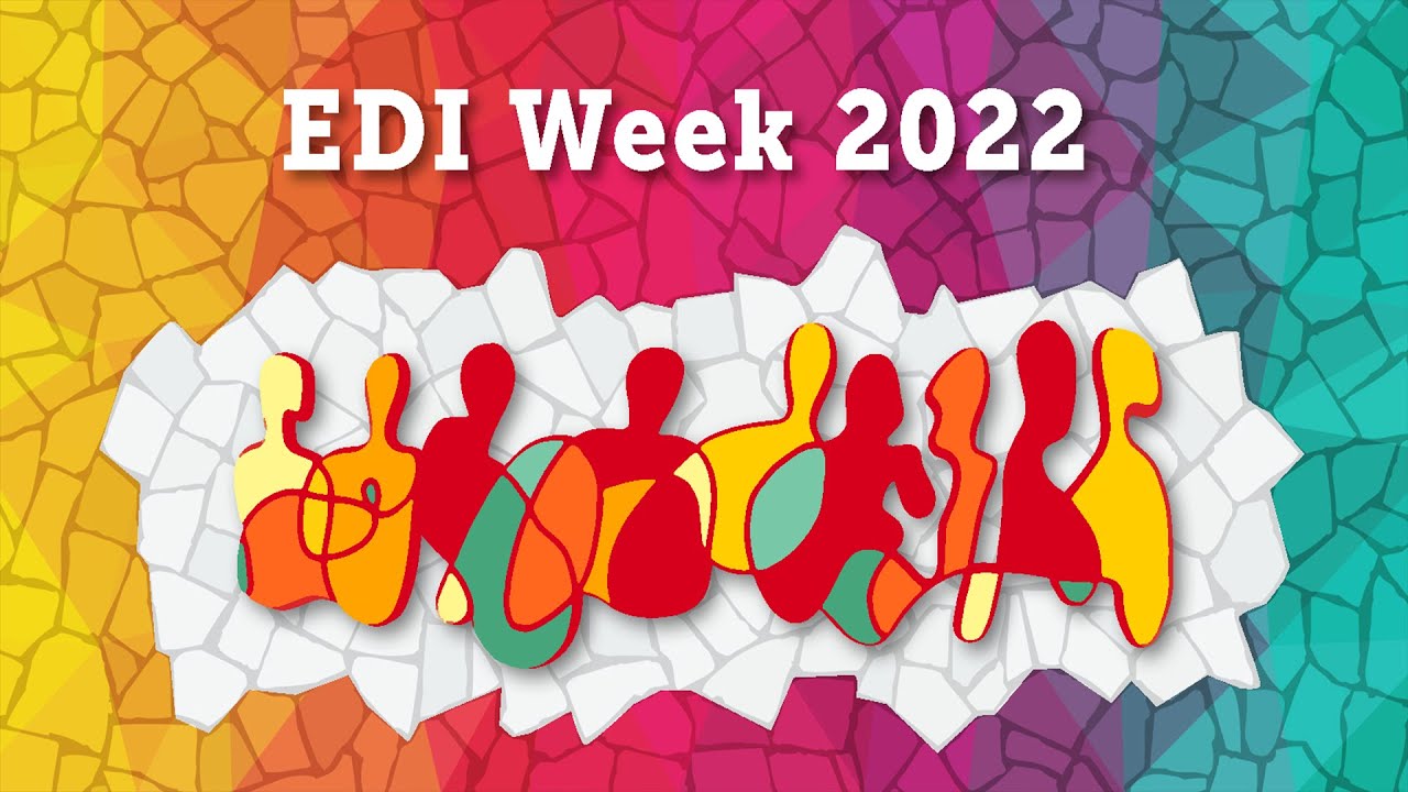 Black & Minority Ethnic Experiences in Higher Education: Social Justice, Inclusion & White Privilege