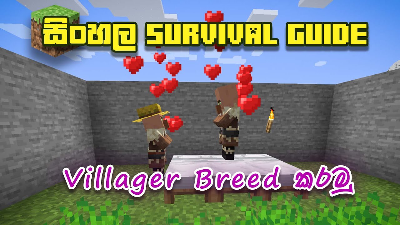 Villager breed කරමු - Sinhala Minecraft Survival Guide - Ep 32