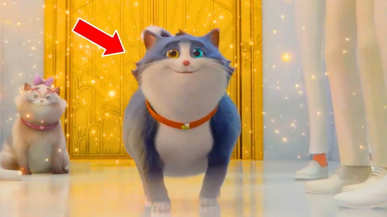 The Impossible Journey of a Cat's 9 Lives - MOVIE RECAP