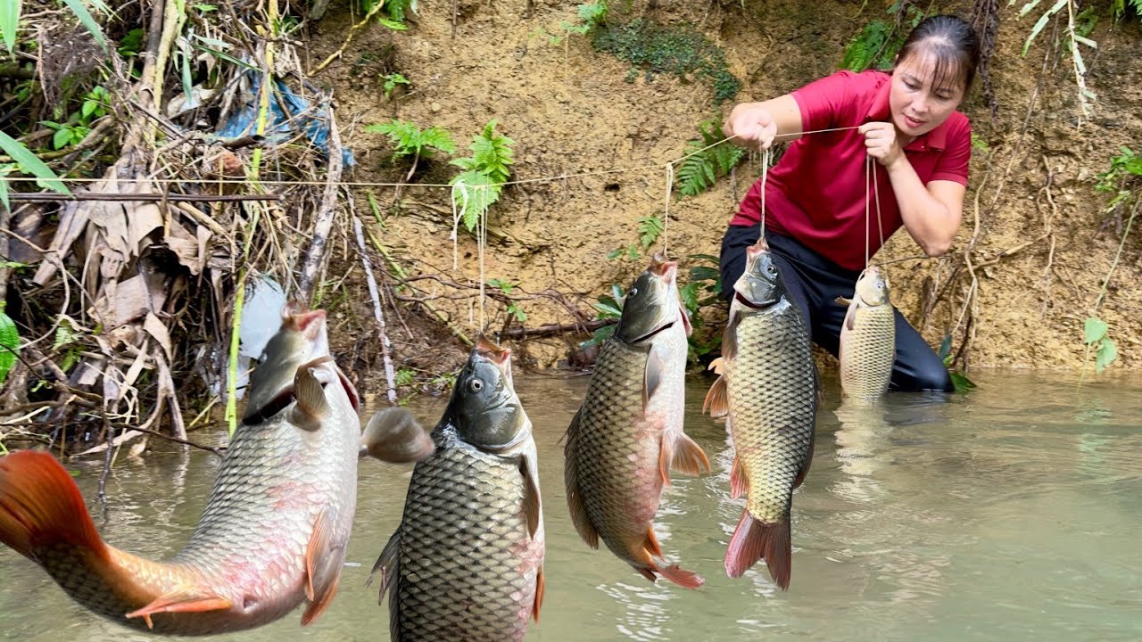 Amazing fishing skills - caught many stream fish to sell at the market