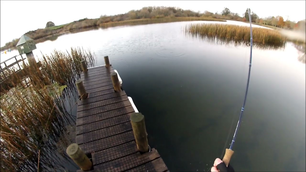 NEW ZEALAND TROUT FISHING THE BIRDS