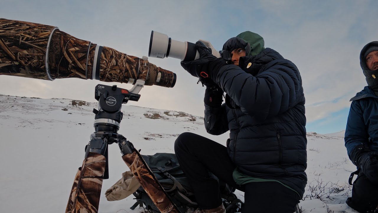 A Year Among Our Nature | Encounters with the Wild