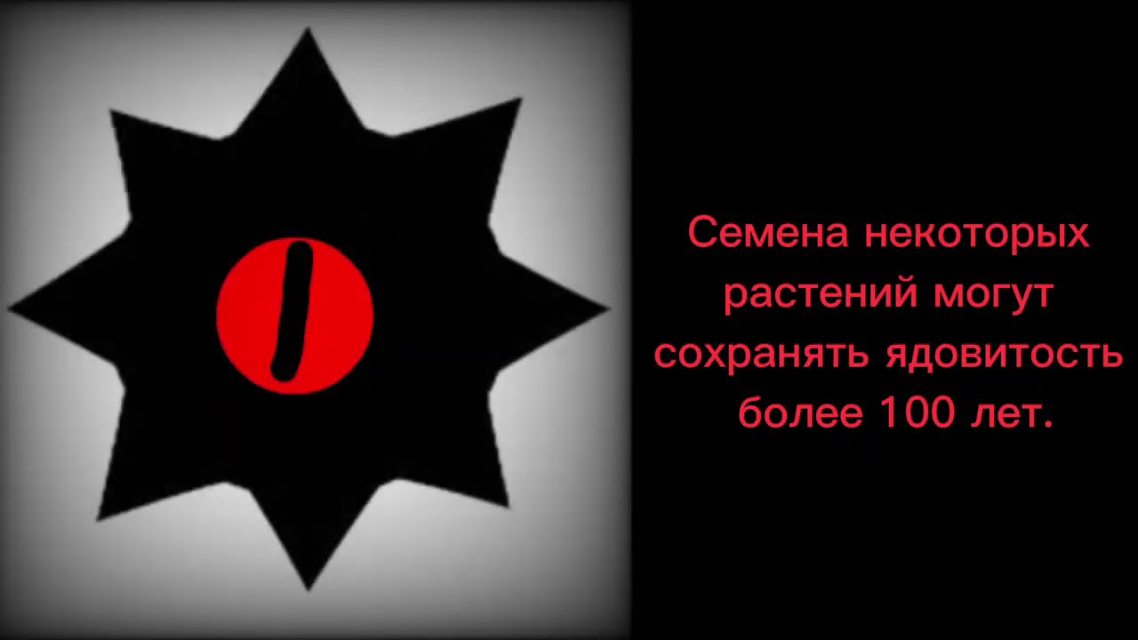 Жуткие факты 6 сезлн 4 часть://Жуткие лица Мр.Сана