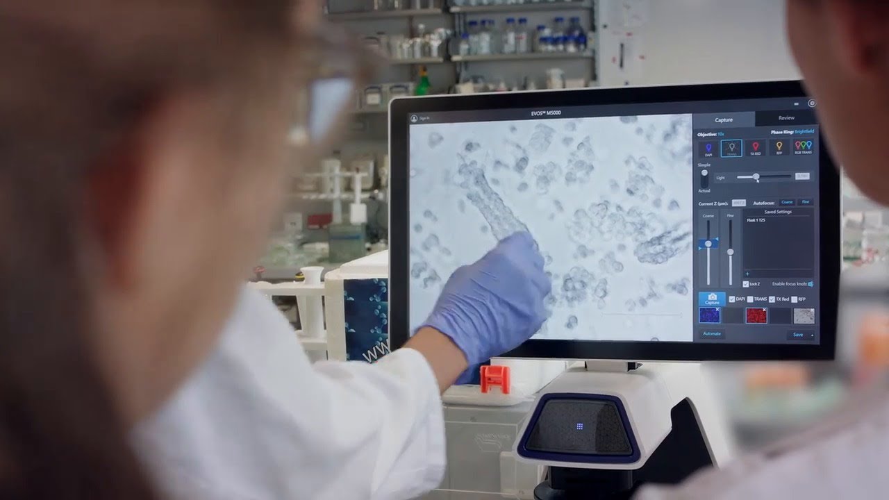 3D Cell Models - Cancer
