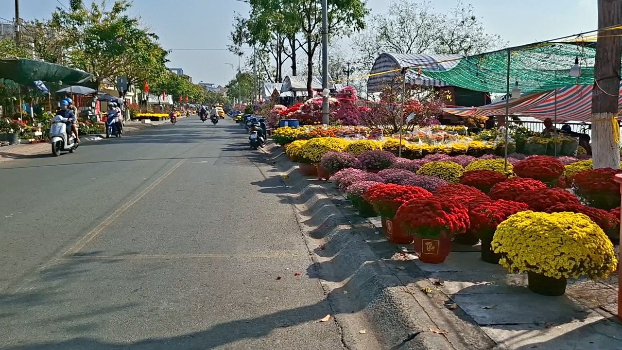Đường Chợ Bông Bến Tre Sáng 23 Tết 2026 #40