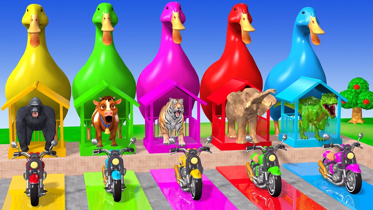 Long Slide Game with Cow Elephant Gorilla Hippopotamus Tiger 3d Animal Game Funny 3d Animals