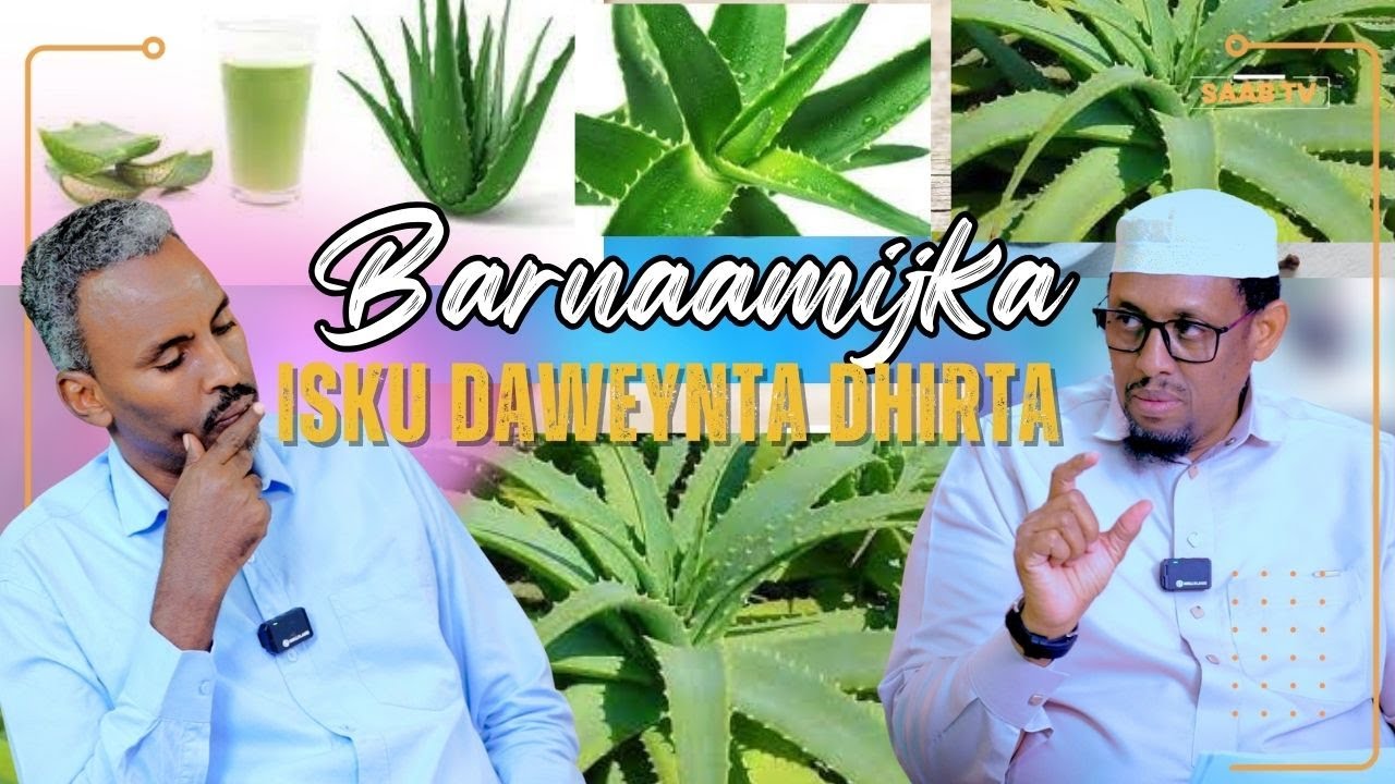 Faa'iidooyinka caafimaad ee ku jira geedka Dacarta iyo xogaha ku qarsoon