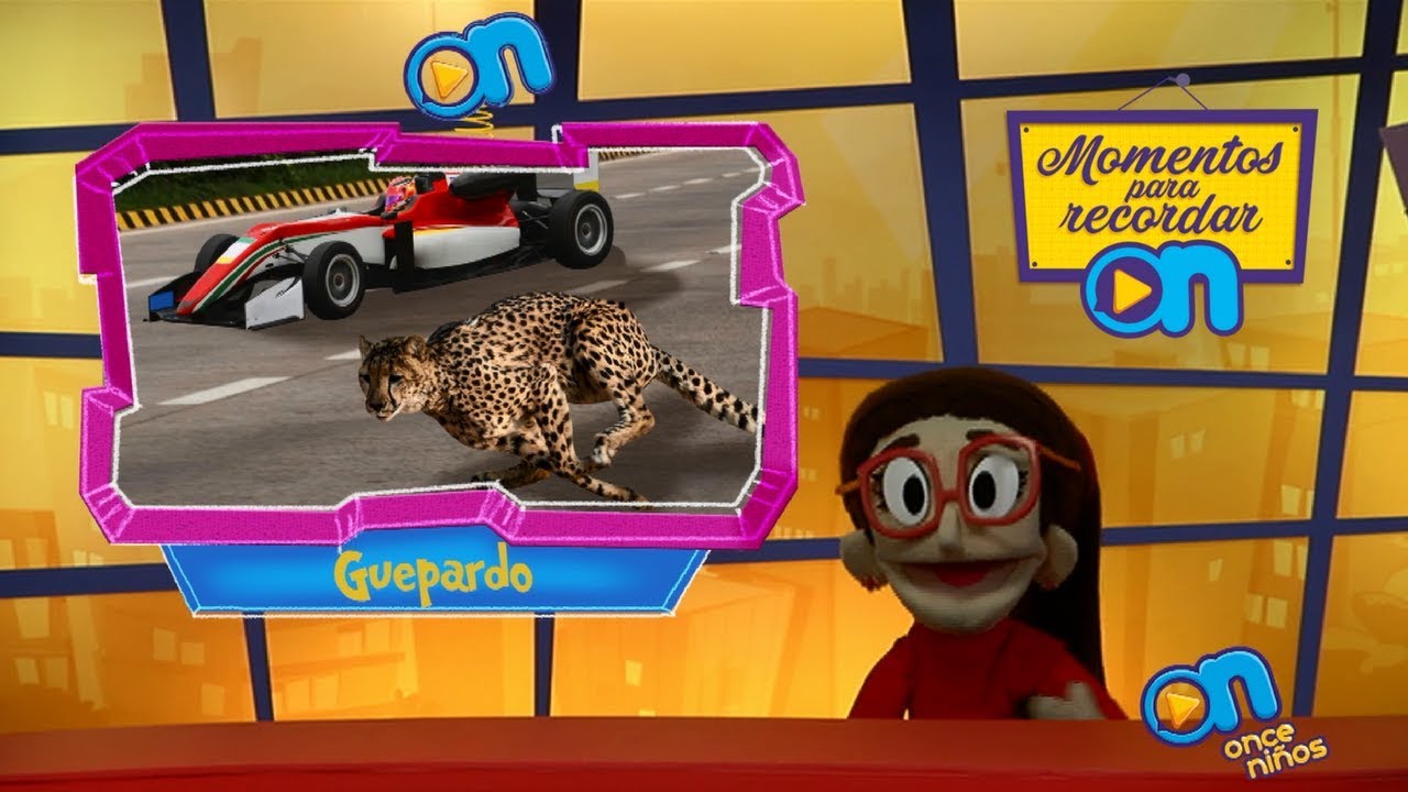 Momentos para recordar de animales asombrosos en Once Niños