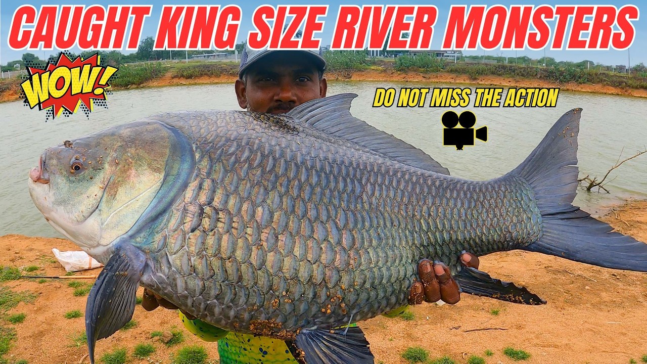 एक दिन में 5 मॉन्स्टर मछलियाँ पकड़ी😱 | I CAUGHT 5 RIVER MONSTERS IN SINGLE DAY | KING SIZE KATLA