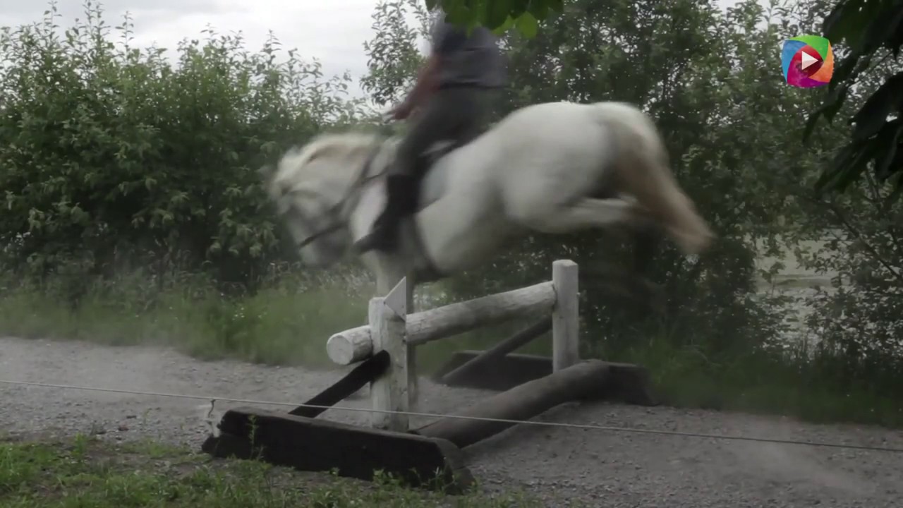 Flowerhill Equestrian Centre