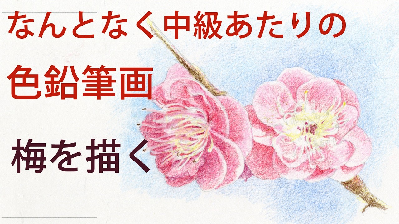 【色鉛筆画レッスン】季節の花を描きます～なんとなく中級あたりの色鉛筆画