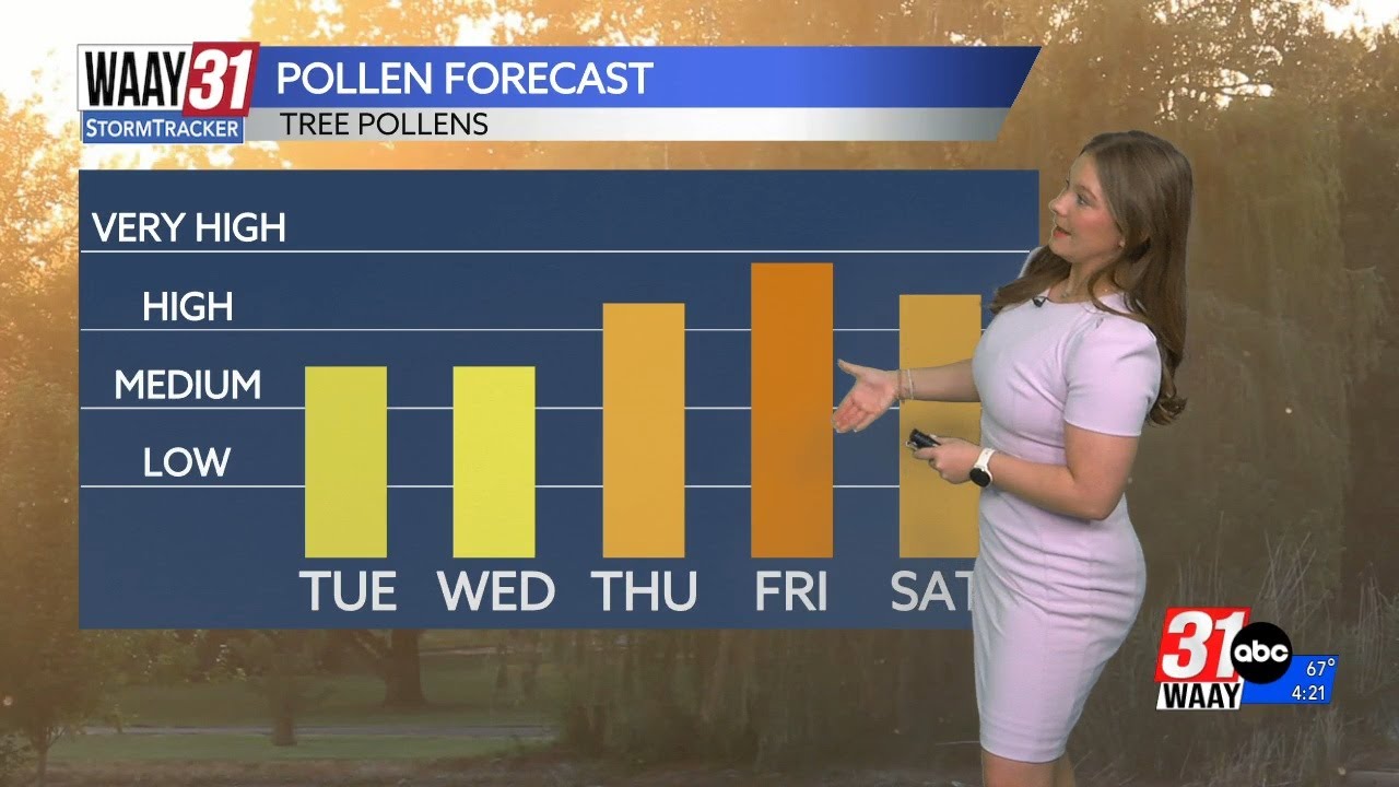 Pollen levels high this week across the Tennessee Valley