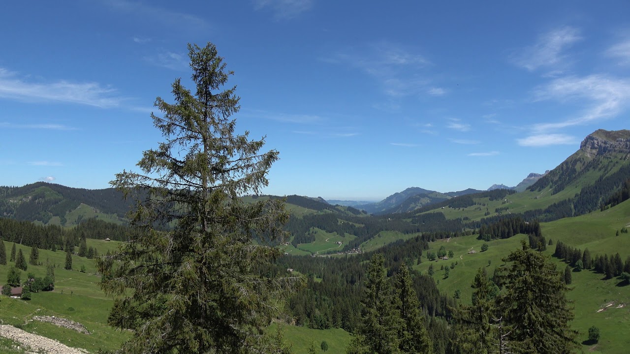 Wanderung von Innereriz auf die Sichel 12 06 2020