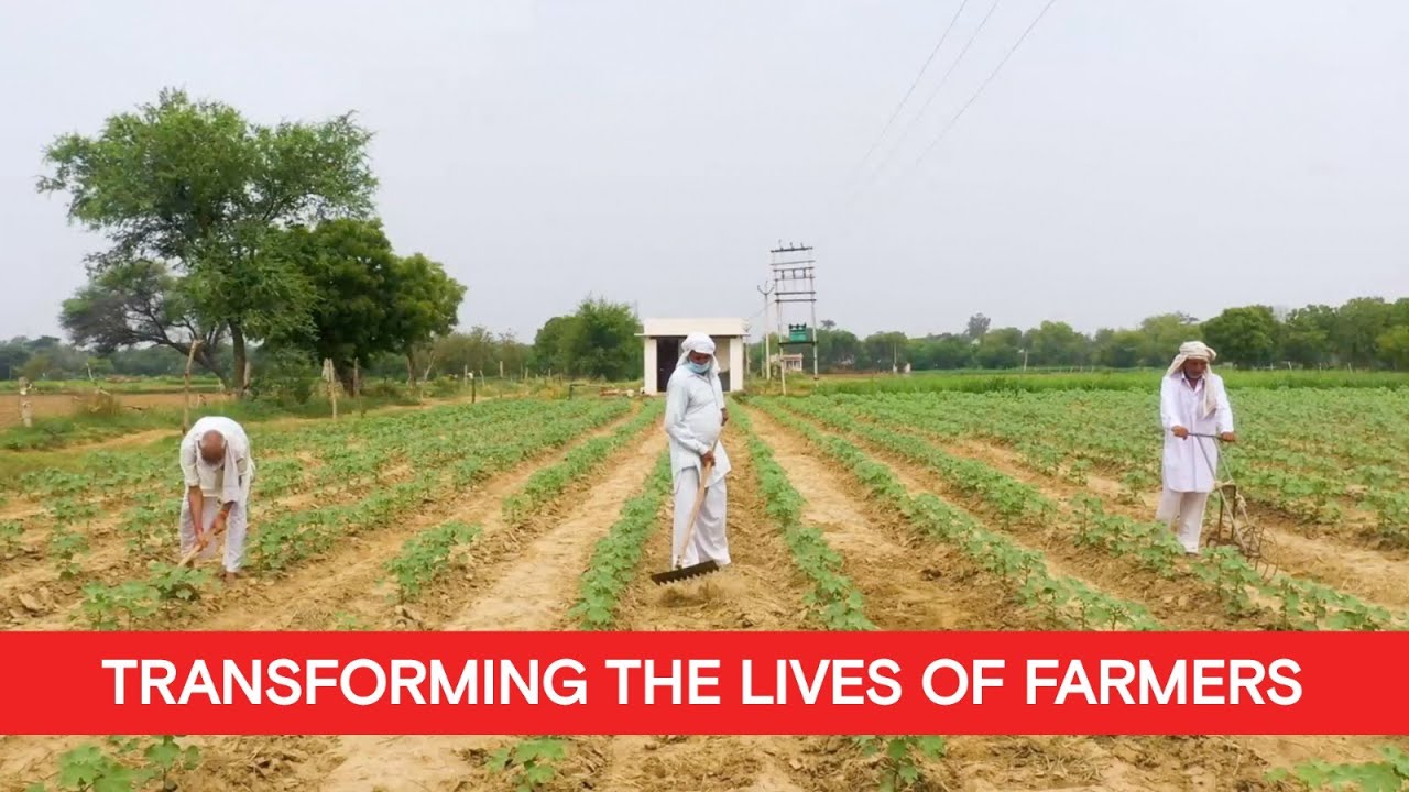 Relief for farmers of Uttar Pradesh | OMG Uttar Pradesh