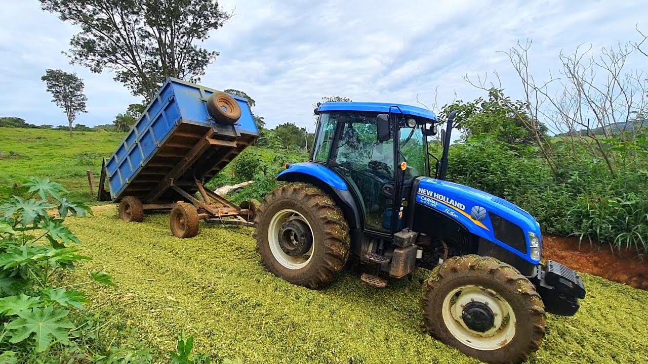 Trator New Holland TL5.80 puxando a Silagem de milho da safra!!!