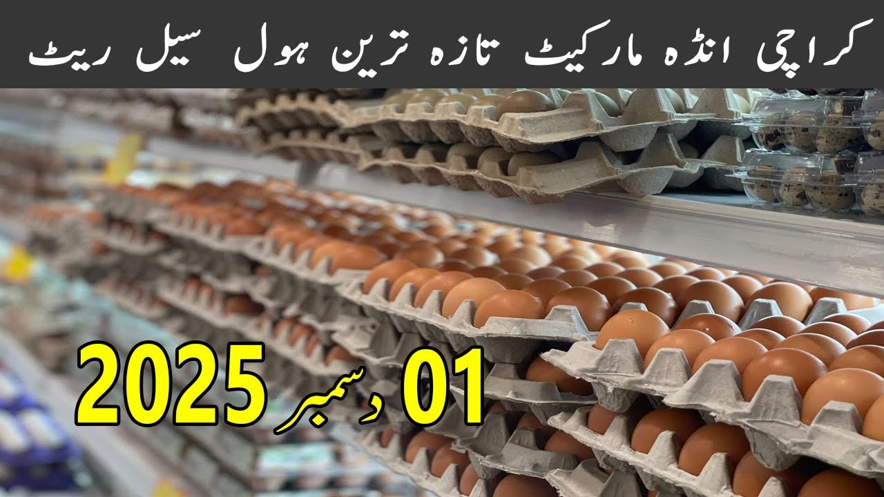 Egg Rate Today Karachi | 01 December 2025 | Egg Rate in Pakistan Today | Egg Rate